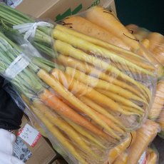 画像5: 沖縄産 島にんじん　滋養食　（チデークニ）5kg 10束 【発送12〜2月】 (5)