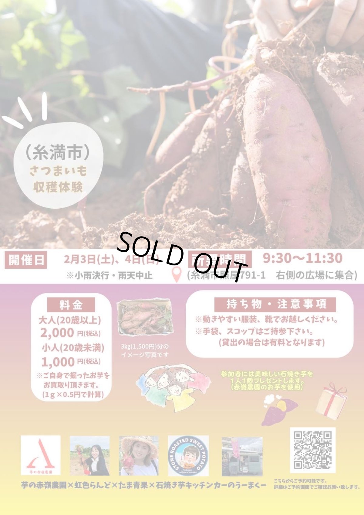 画像1: 【サツマイモ収穫体験】沖縄県糸満市にて！参加者募集中！ (1)