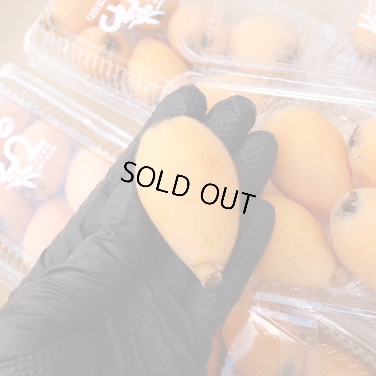 画像2: びわ 4パック（＠200ｇ）合計800ｇ　【発送時期4月頃】 入荷次第発送 (2)