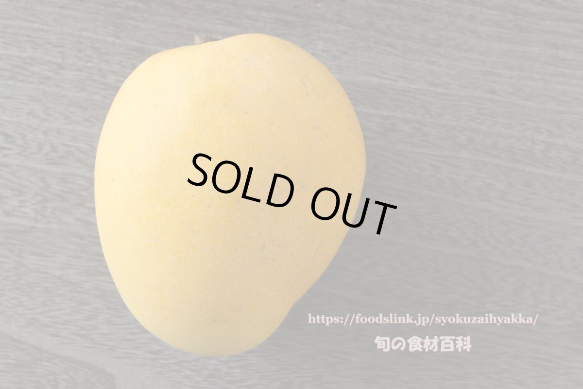 画像3: 金蜜 (きんみつ) マンゴー 優品１kg (２〜5玉) ☆ 発送時期7月下旬〜 沖縄県産  (3)