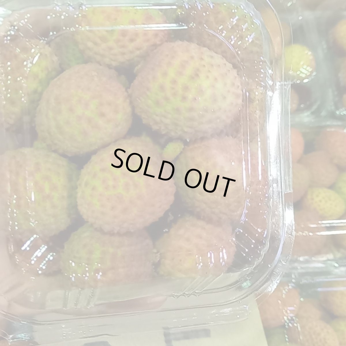 画像3: ☆発送開始☆ 生 ライチ（玉荷包）500g　沖縄県産　６月頃発送 (3)