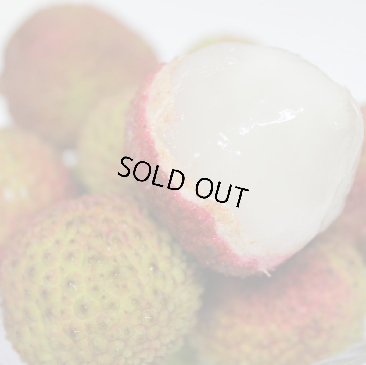 画像2: ☆発送開始☆ 生 ライチ（玉荷包）500g　沖縄県産　６月頃発送 (2)