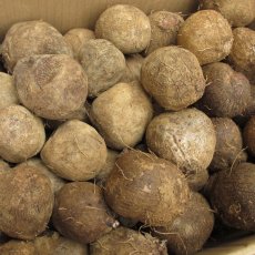 画像2: 希少品種再入荷しました！宮古島産ヤムイモ ２kg　長生きすると言われるDHEAが含まれる。 (2)