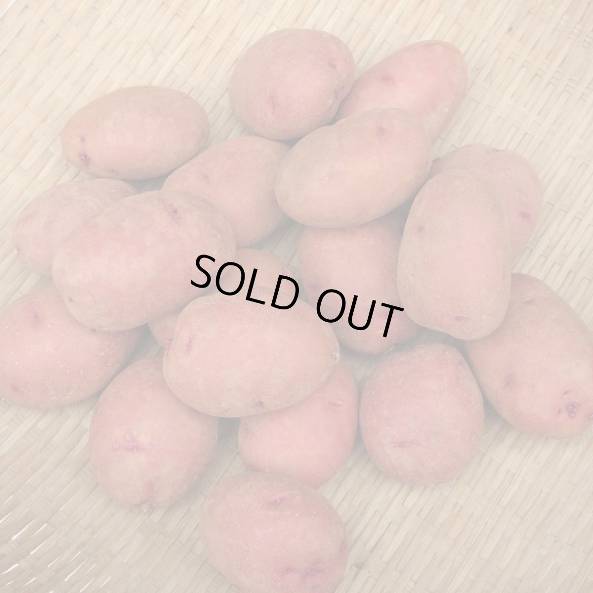 画像2: 沖縄県産　紅じゃがいも２kg　メルマガ会員様はお得に購入！【配達日指定不可】 (2)