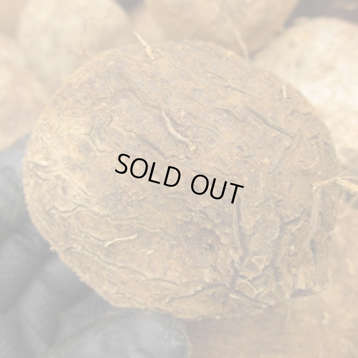 画像3: 希少品種再入荷しました！宮古島産ヤムイモ ２kg　長生きすると言われるDHEAが含まれる。 (3)