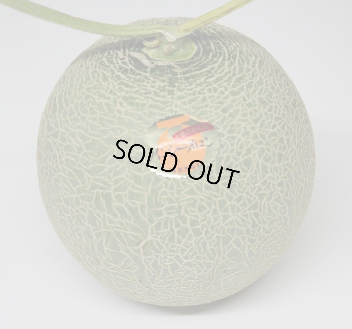 画像3: 最終入荷！【半額セール】宮古島産 クインシーメロン　1ケース　5から6玉　(＠約1.4kg〜2kg) 　赤肉メロン　 (3)