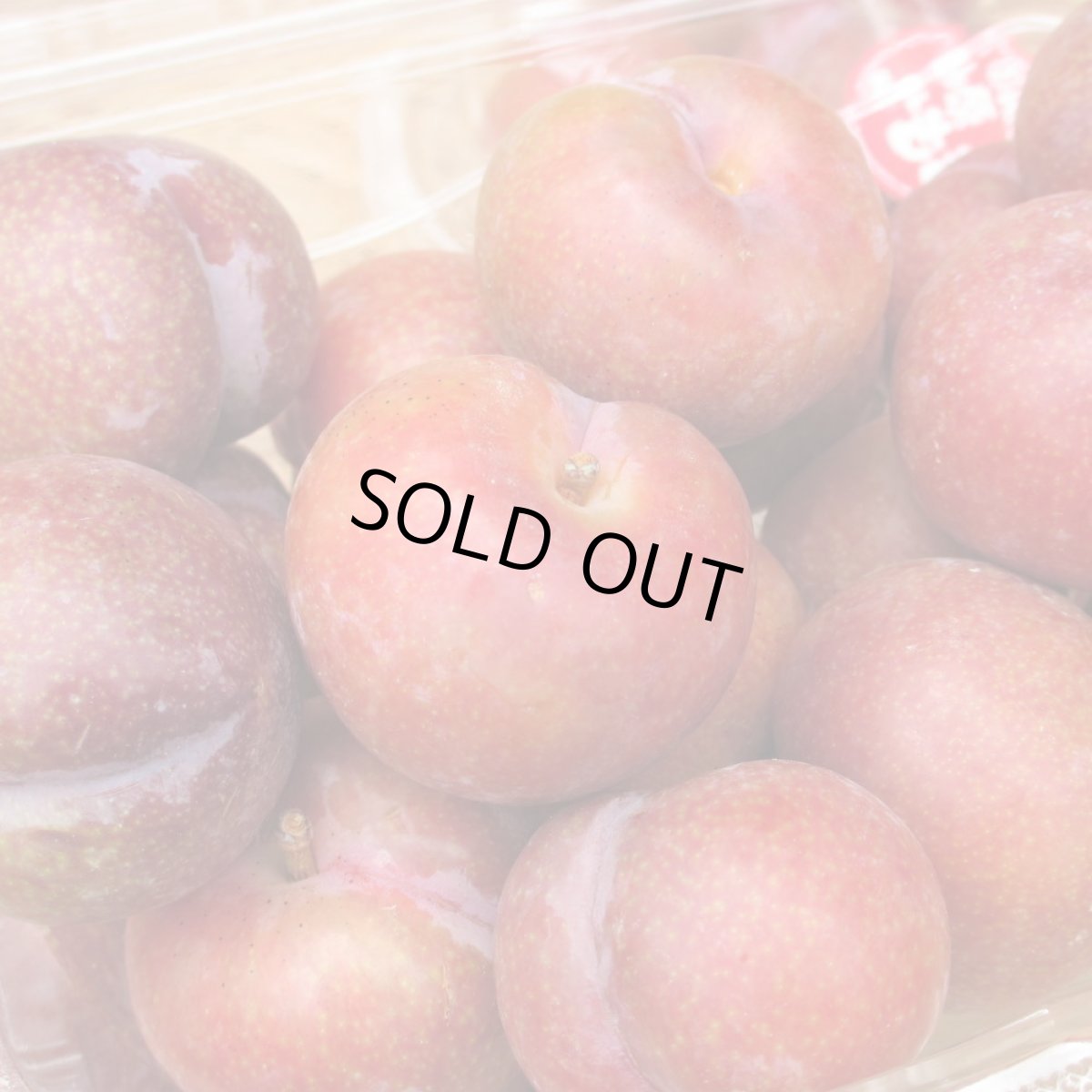 画像2: スモモ 約 500ｇ (2)