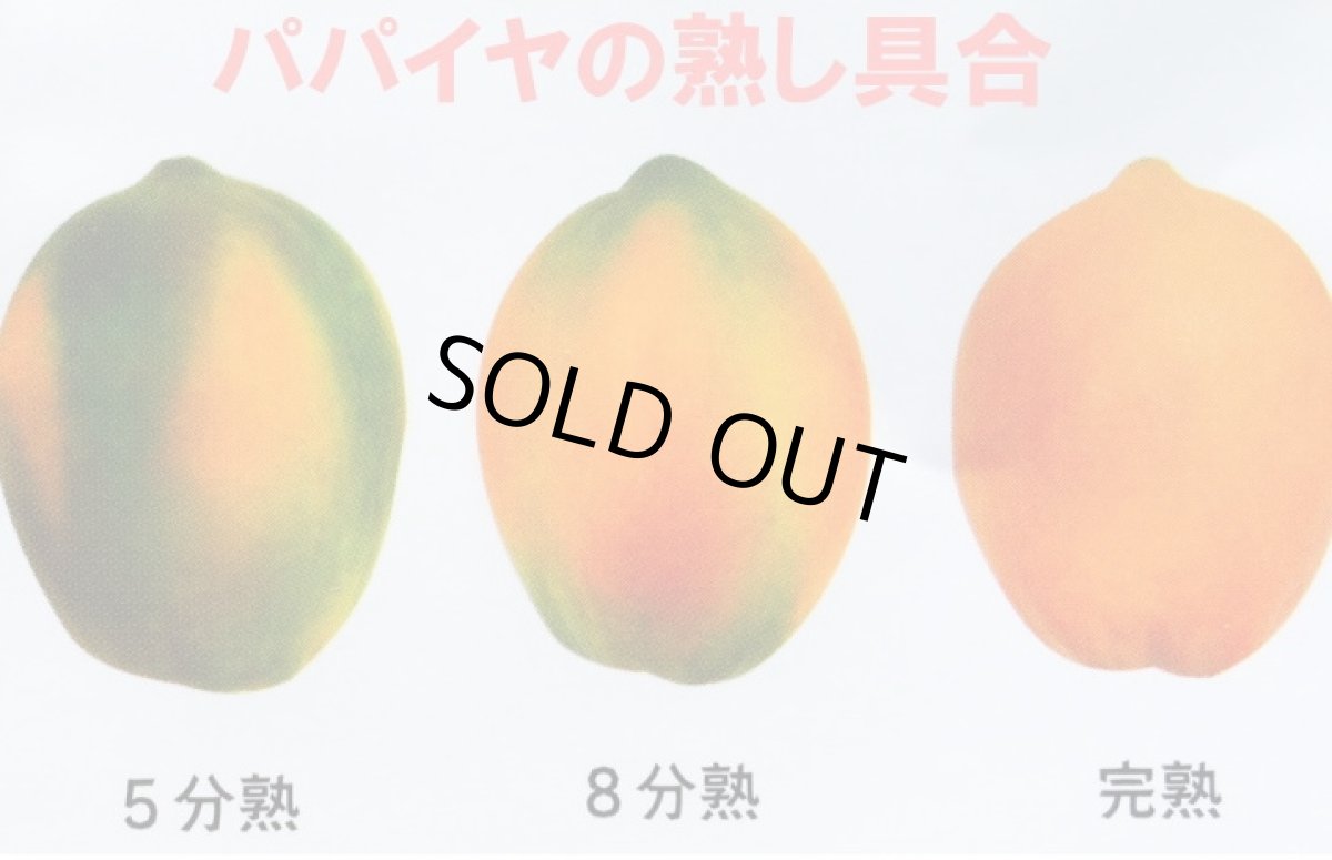 画像3: 【石垣サンゴ】フルーツパパイヤ 約１.７〜２ｋｇ(2〜６玉入)　 (3)