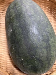 画像4: ☆お買い得商品☆　沖縄県産　黒美人スイカ　３〜４kg　 (4)