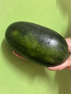 画像1: ☆お買い得商品☆　沖縄県産　黒美人スイカ　３〜４kg　 (1)