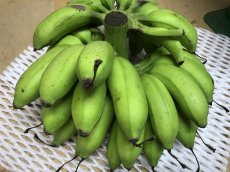 画像7: ☆大感謝際ＳＡＬＥ☆今が旬食べ比べバナナ　2〜3種　いずれか　4kg（三尺バナナ/島バナナ/アイスクリームバナナ/野菜バナナ/GSバナナ/アップルバナナ）　 (7)