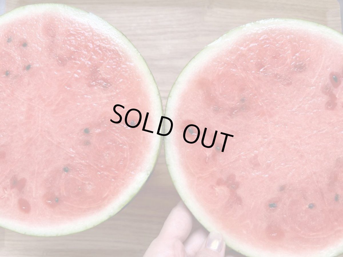 画像4: 甘く仕上がってます！種まで食べれるぷちっとスイカ☆　2.5〜3kg前後 (4)