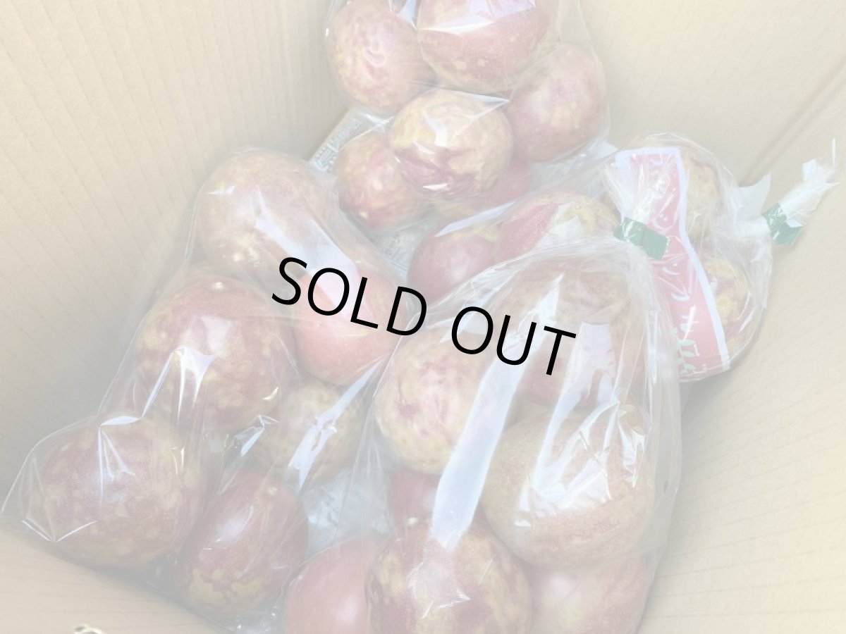 画像5: 沖縄県産 【加工用】パッションフルーツ(バラ) 約1ｋｇ【キズ/サイズバラつき/色むら】【発送予定4月〜６月頃（入荷遅れています）】 (5)