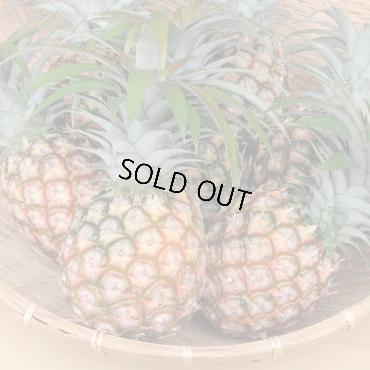 画像4: ★☆タイムセール☆★ピーチパイン　3kg（6〜9玉）甘くて美味しいピーチの香り　数量限定 (4)