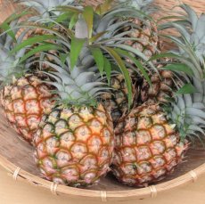 画像4: ★☆タイムセール☆★ピーチパイン　3kg（6〜9玉）甘くて美味しいピーチの香り　数量限定 (4)
