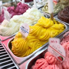 画像1: 世界ジェラート騎士が創り出す極上ジェラート「ＰＩＥＮＯＭＡ　ＧＥＬＡＴＯ」12個セット※店舗直送の為その他商品と同梱不可 (1)