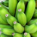 ゴールデンスウィートバナナ　 約2kg（2房前後）【配達日指定不可/常温発送】