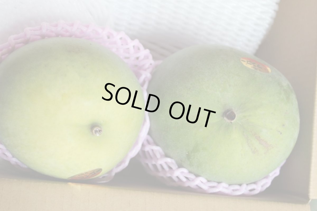 画像7: ☆優品☆ 冷蔵完熟　キーツマンゴー 約1ｋg（1〜2玉入り）冷蔵発送　 (7)