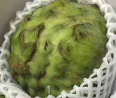 画像2: 訳ありアテモヤ 約2kg 　【配達日指定不可】【入荷次第発送します。】 (2)