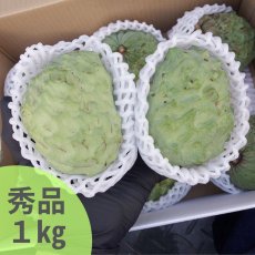 画像1: 【予約開始】（秀品）アテモヤ 約１kg とってもあま〜い山のアイスクリーム【配達日指定不可】沖縄県産 【発送は12月頃〜】 (1)