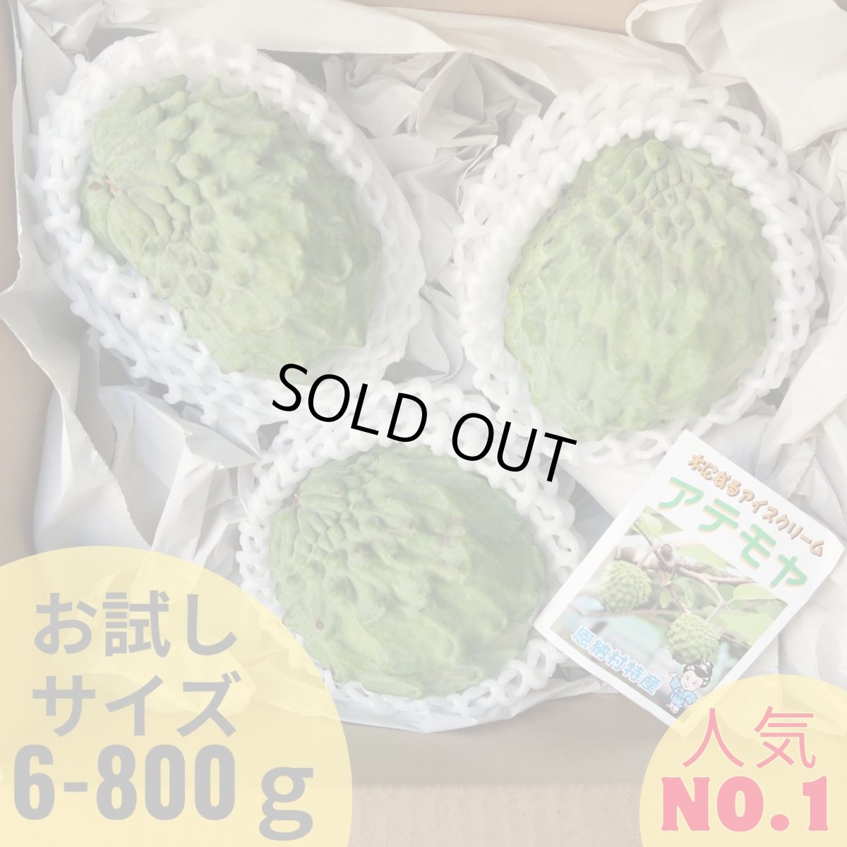 画像1: すぐ発送！沖縄県産 アテモヤ 約600〜800g (３〜７個) とってもあま〜い山のアイスクリーム　4点限定【配達日指定不可】 (1)