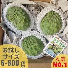 画像1: すぐ発送！沖縄県産 アテモヤ 約600〜800g (３〜７個) とってもあま〜い山のアイスクリーム　4点限定【配達日指定不可】 (1)