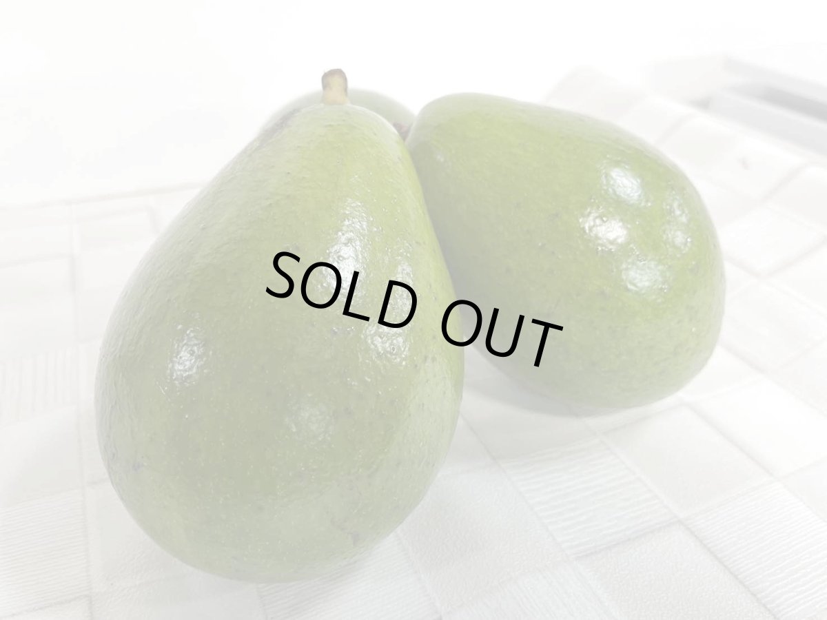 画像6: 【追加入荷!】沖縄産  アボガド  1kg〜1.3kg 前後 (4〜5玉入り) (6)