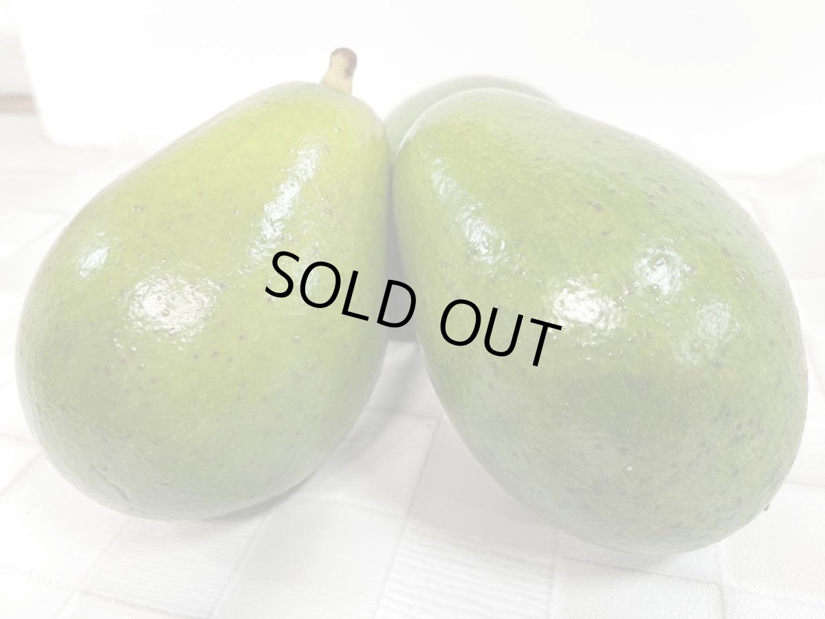 画像4: 【追加入荷!】沖縄産  アボガド  1kg〜1.3kg 前後 (4〜5玉入り) (4)