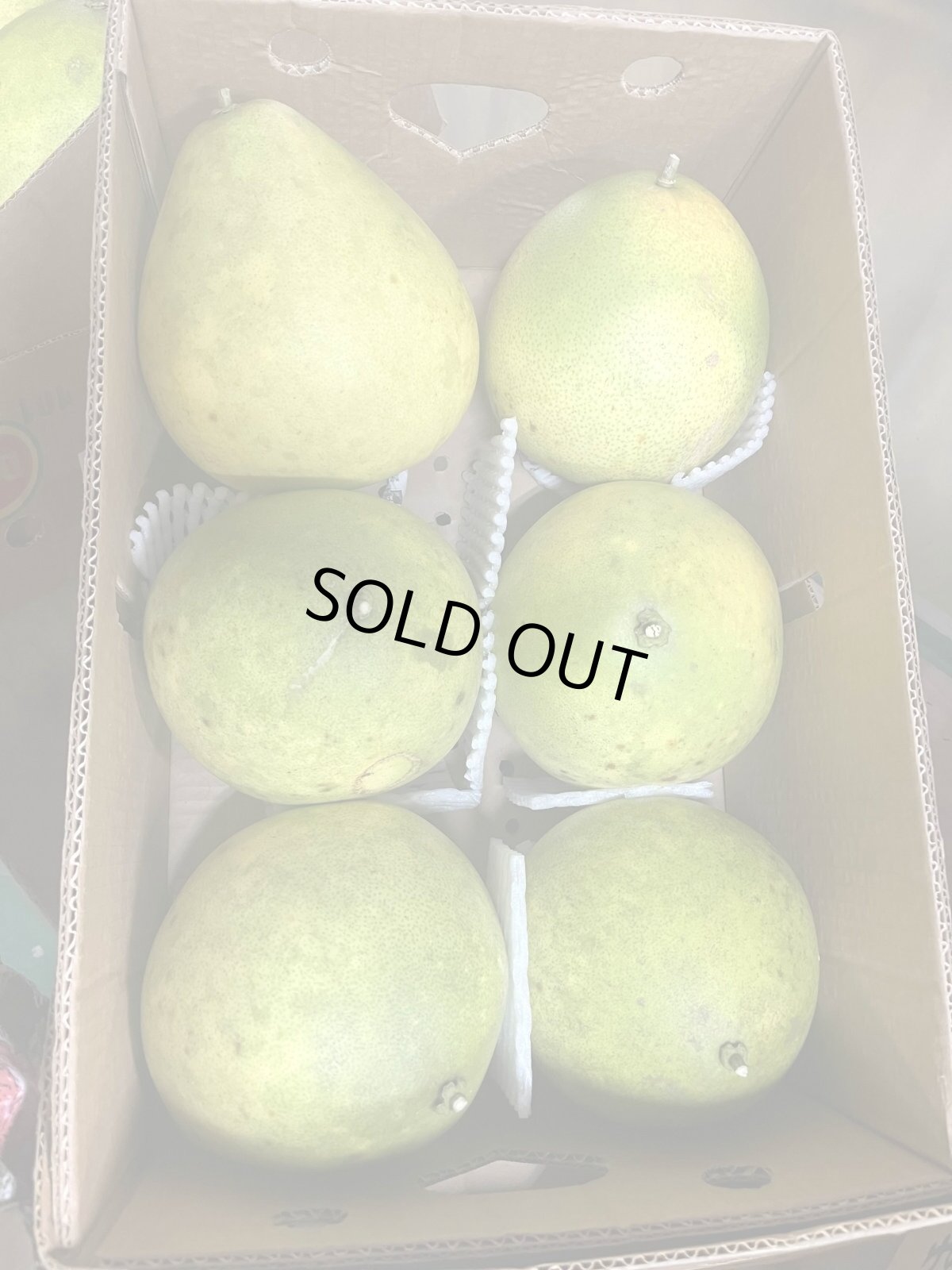 画像2: レア！沖縄県産　文旦（ブンタン） 1玉 約1.5kg (2)