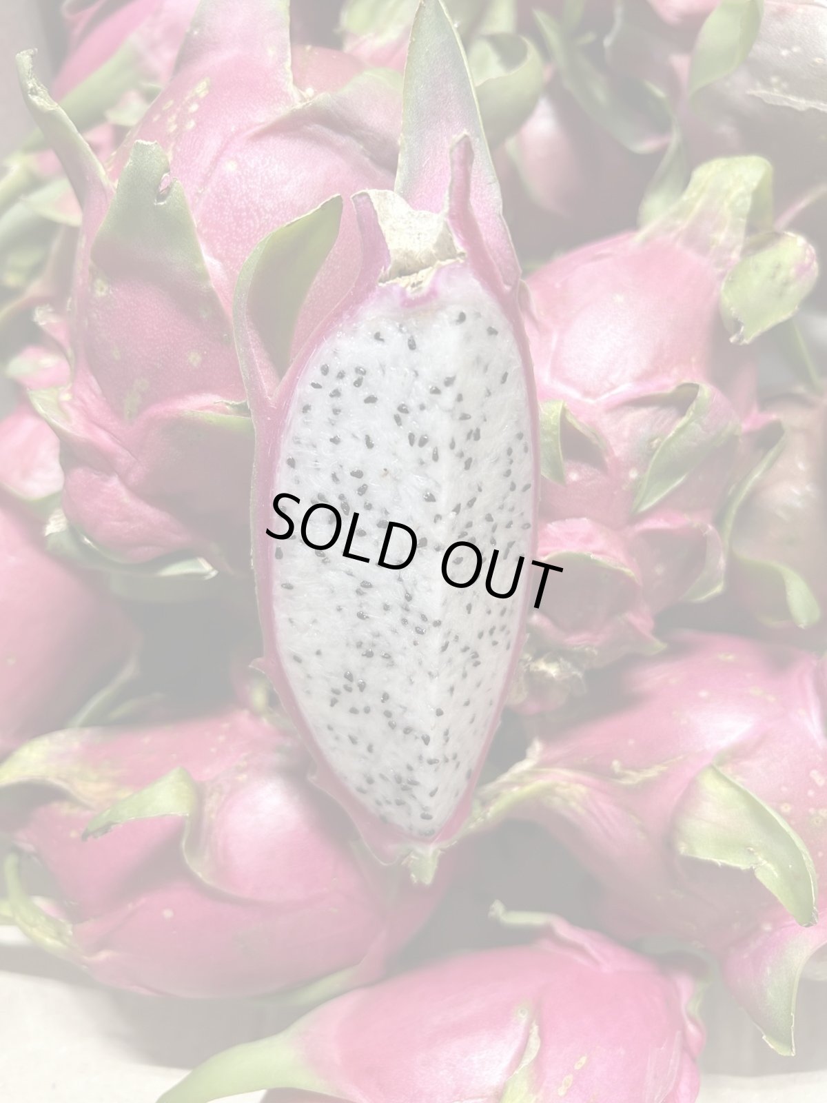 画像2: ドラゴンフルーツ (白)　沖縄県産 　２kg　（５〜８玉前後）　数量限定 (2)