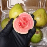 沖縄産のグヮバ（ばんしる）〜沖縄野菜の通販販売-沖縄の野菜卸