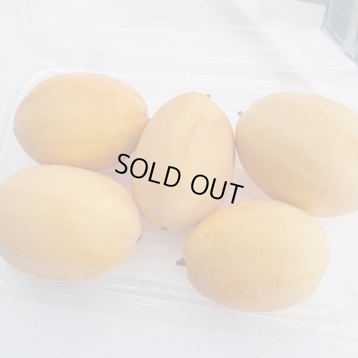 画像2: ミズレモン 大玉厳選 6玉入り ☆沖縄県産　贈答用に最適 (2)