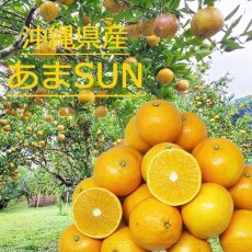 画像1: 【予約開始】あまSUN 秀品 5kg (M〜４L　白箱）お歳暮に最適　☆送料無料☆（予約商品12月中旬〜発送予定） (1)