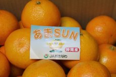 画像3: 【予約開始】あまSUN 秀品 5kg (M〜４L　白箱）お歳暮に最適　☆送料無料☆（予約商品12月中旬〜発送予定） (3)