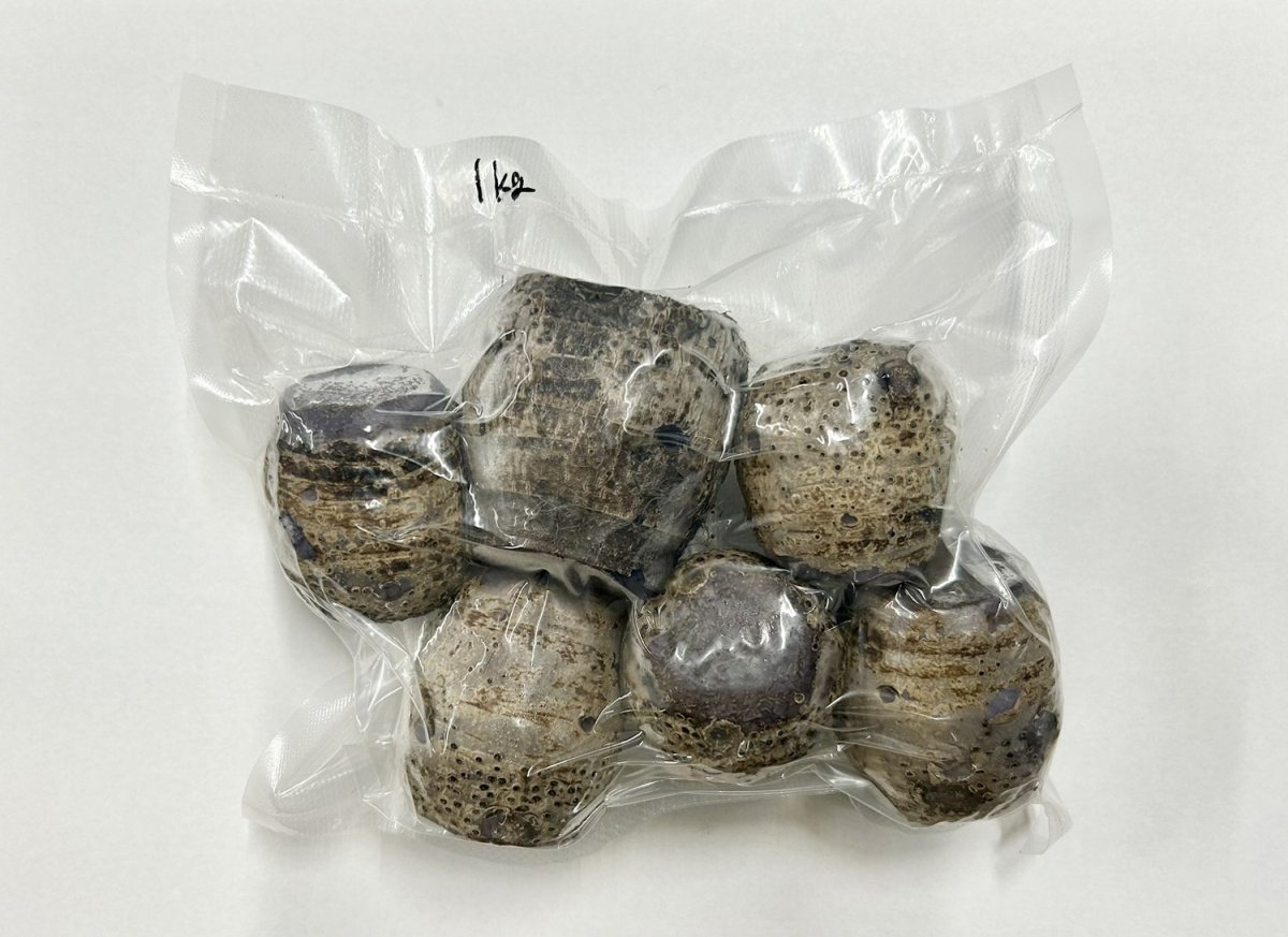 画像2: 沖縄県産野菜 　冷凍タイモ（ターム）1ｋｇ　※オススメ商品 (2)