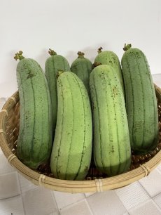 画像3: 新種　沖縄県産　美らへちま　4kg　（ナーベーラー） (3)