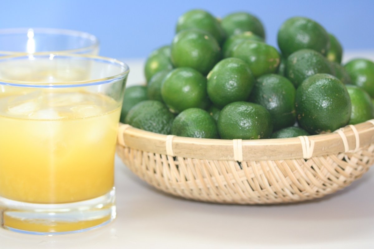 画像5: 沖縄特産　シークワーサー500g　「お試し商品」ノビレチンたっぷり！ (5)