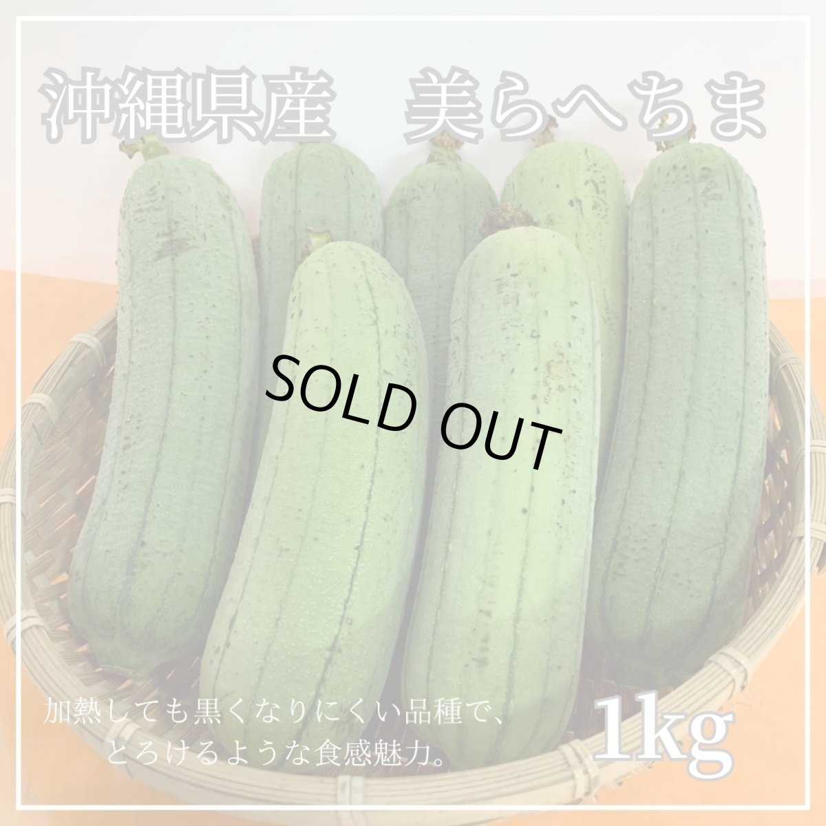 画像1: 新種　沖縄県産　美らへちま　1kg　（ナーベーラー） (1)