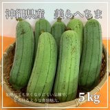 沖縄産 へちま（ナーベラー）〜沖縄野菜の通販販売-沖縄の青果物卸専門店-