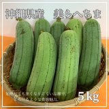 ⭐︎予約受付⭐︎ チルド郵送込み　沖縄県産　グァバ　生果実10キロ ⭐︎予約受付⭐︎ チルド郵送込み 沖縄県産 グァバ 生果実10キロ