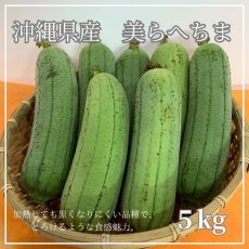 画像1: 新種　沖縄県産　美らへちま　4kg　（ナーベーラー） (1)