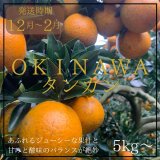※さくら　沖縄県産タンカン2L✕2本 さくら 沖縄県産たんかんジュース2L×2本 tankan720new-6.jpg