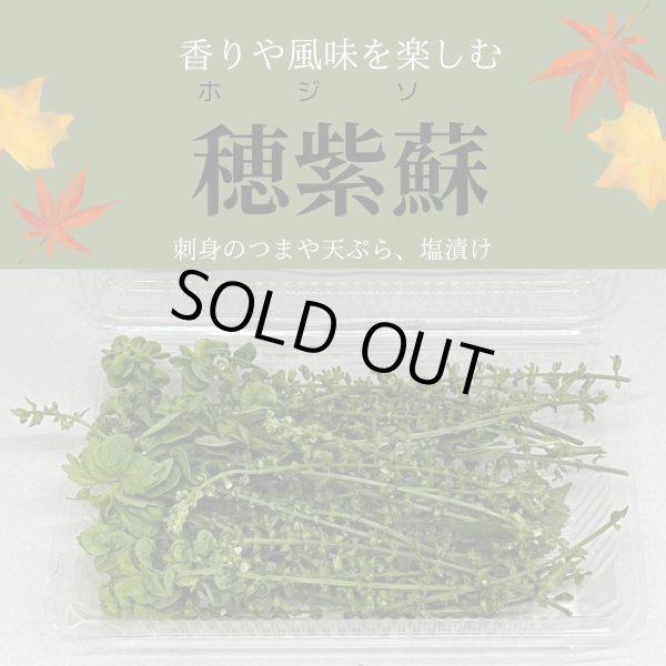 穂紫蘇（ホジソ）1パックたっぷり - 沖縄たま青果