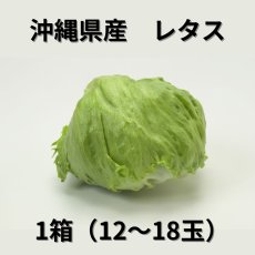 画像1: 沖縄野菜：沖縄産レタス　１箱（12〜18玉） (1)