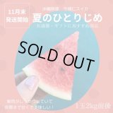 残り僅か！ギフトやイベントにも！沖縄ブランド今帰仁スイカ ２Ｌサイズ 2玉 特価！ギフトにも！沖縄ブランド今帰仁スイカ Lサイズ 2玉！の