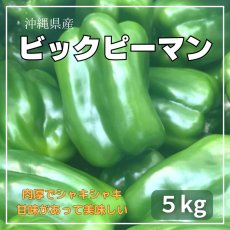 画像1: 沖縄県産 ビックピーマン 約5ｋｇ　甘くてモリモリ食べられる (1)