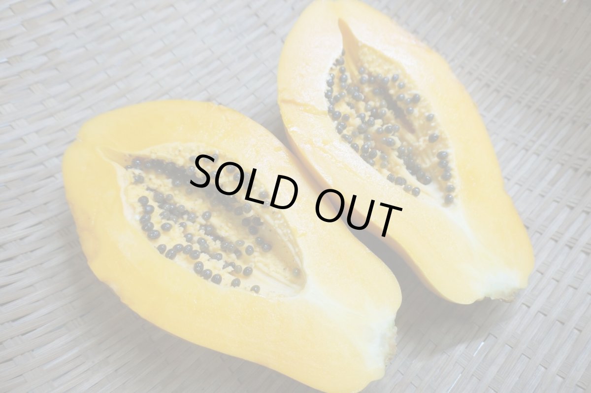 画像3: フルーツパパイヤ　大玉　1玉1.4〜２kg前後　甘くて食べやすい (3)