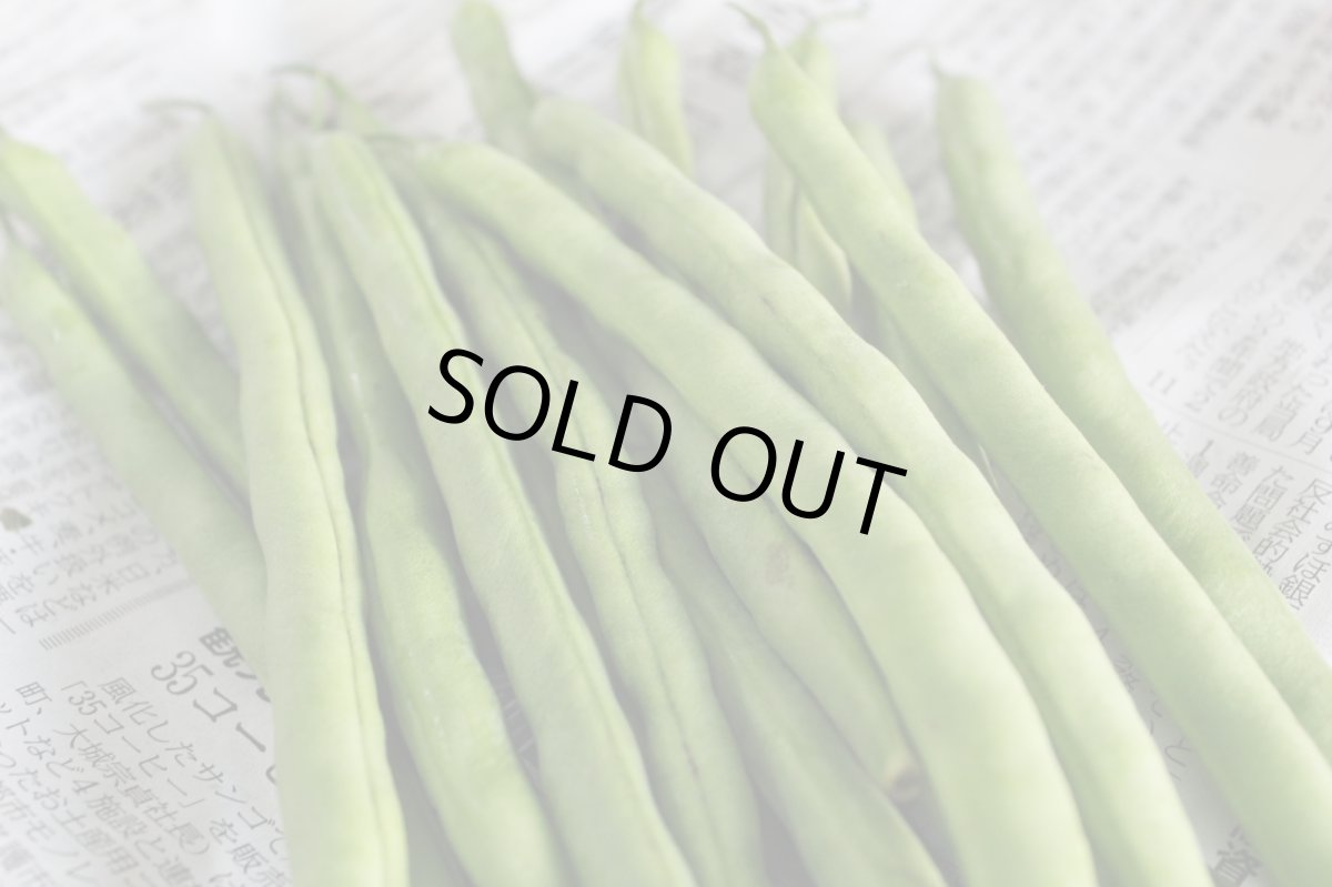 画像3: 沖縄県産　丸インゲン　500グラム (3)