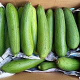 沖縄産 へちま（ナーベラー）〜沖縄野菜の通販販売-沖縄の青果物卸専門店-