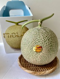 画像1: 宮古島より再入荷！ 赤肉メロン 1玉 約1.2kg〜1.4kg　【旬の時期到来！】 (1)